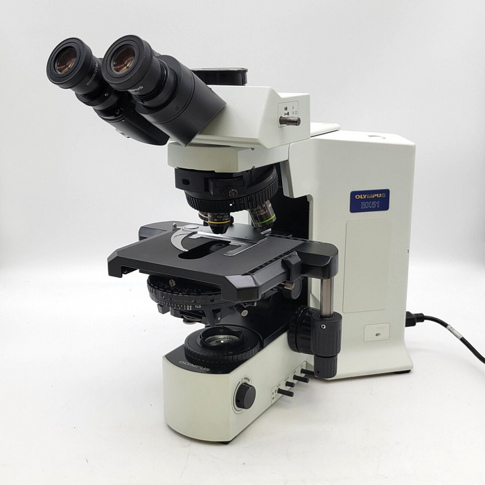 DIC / Nomarski Microscopes