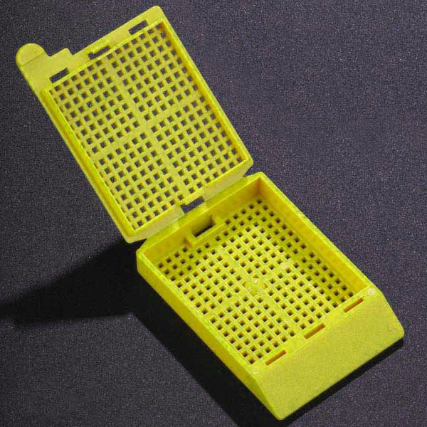 Globe Scientific Biopsy Cassettes with Attached Lids - Bulk | 1095Y - Microscope Marketplace