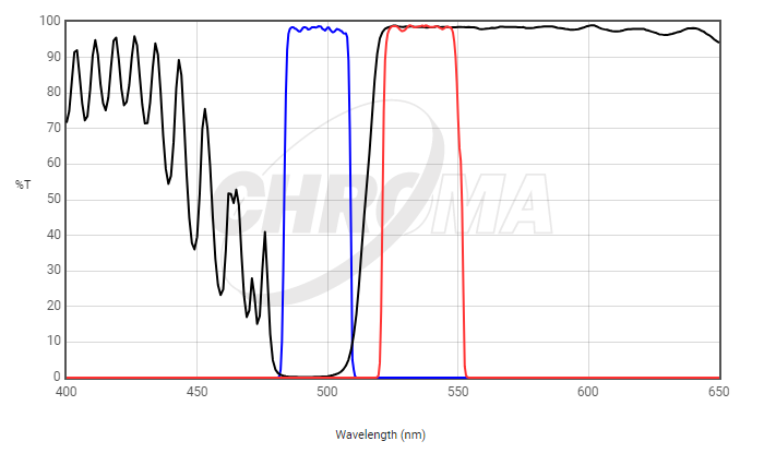 Chroma Filter 49303 - ET - Green#1 FISH - microscopemarketplace