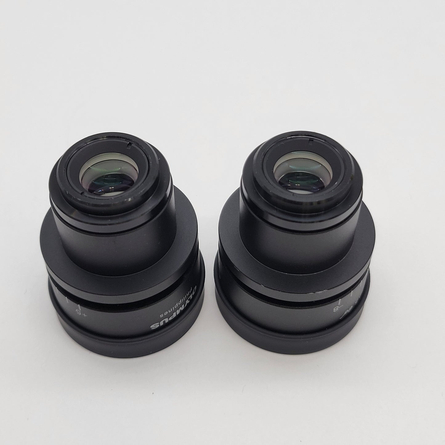 Olympus Microscope Eyepiece Pair WHSZ20X-H/12.5 20x Eyepieces