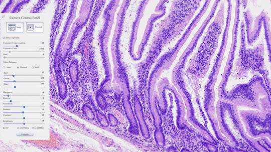 Motic MOTICAM 4000 Microscope Camera - microscopemarketplace