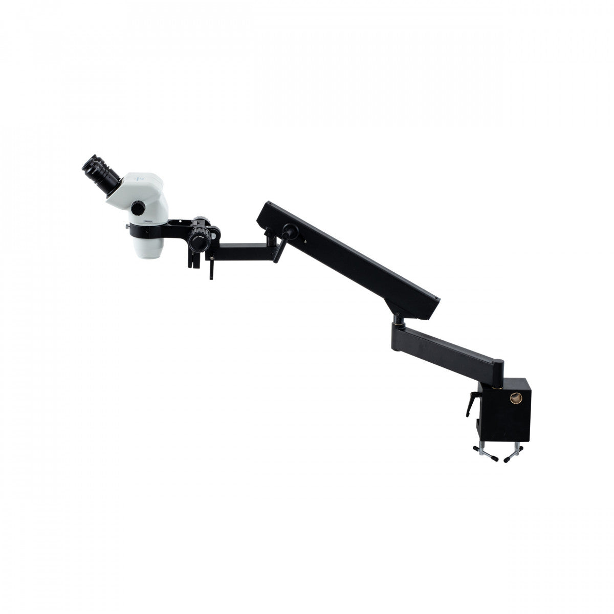 Accu-Scope 3075 Binocular Zoom Stereo Microscope on Flex Arm Stand - microscopemarketplace