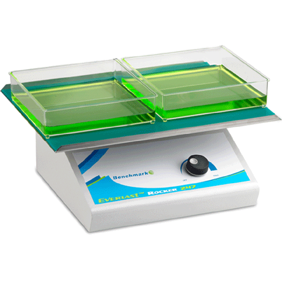 Benchmark Scientific Everlast 247 Platform Rocker - microscopemarketplace