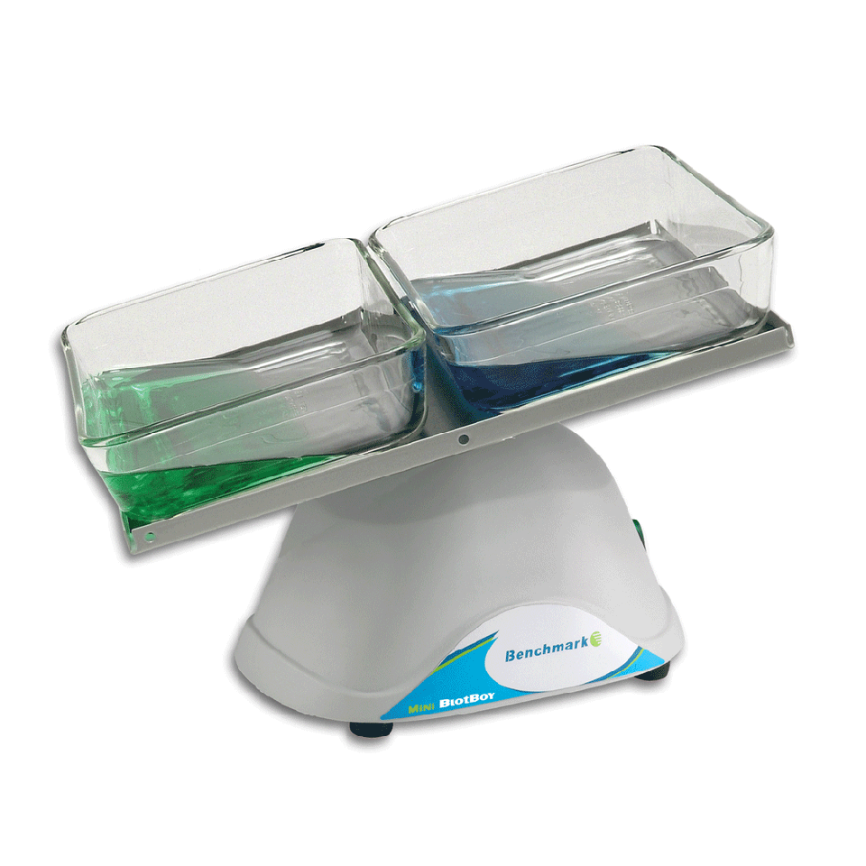 Benchmark Scientific Mini Blotboy 3-D (10.5 x 7.5") Platform Rocker - microscopemarketplace