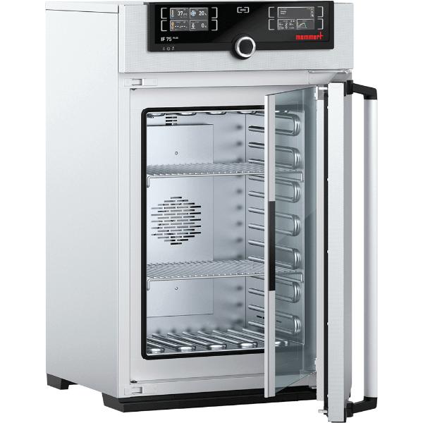 Memmert Standard Incubators | IF75PLUS 115V (74L)