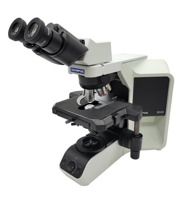 Olympus Microscope BX43 with Fixed Binocular Head & 2x Objective Pathology - microscopemarketplace