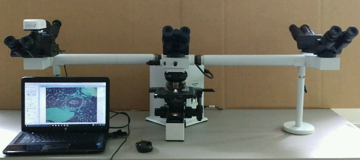 Olympus Microscope U-MDOB Pointer Multi Observation Side by Side Bridges - microscopemarketplace