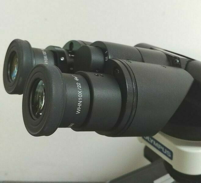 Olympus Microscope BX43 with Tilting Head and 2X Objective Pathology - microscopemarketplace