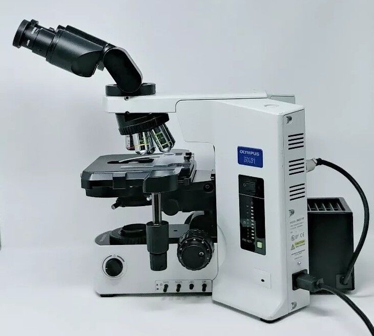 Olympus Microscope BX51 with Phase Contrast and Tilting Binocular Head - microscopemarketplace