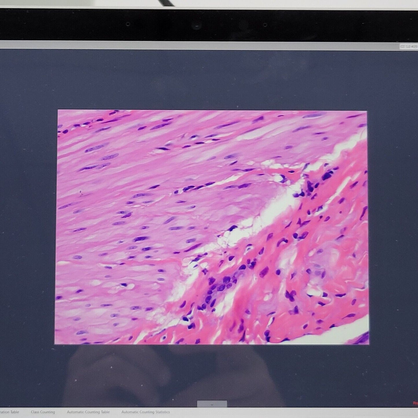 Olympus Microscope CX33 LED with Trinocular Head and Camera - microscopemarketplace