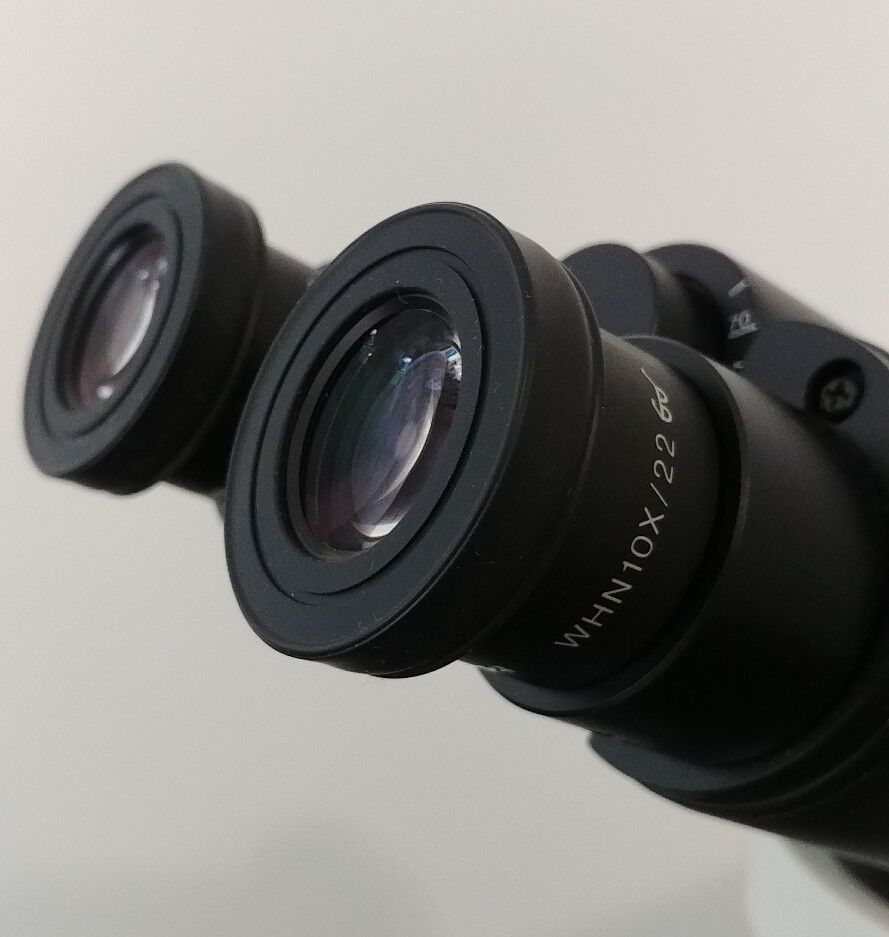 Olympus Microscope BX41 Clinical Pathology with 50x Oil and Binocular Head - microscopemarketplace