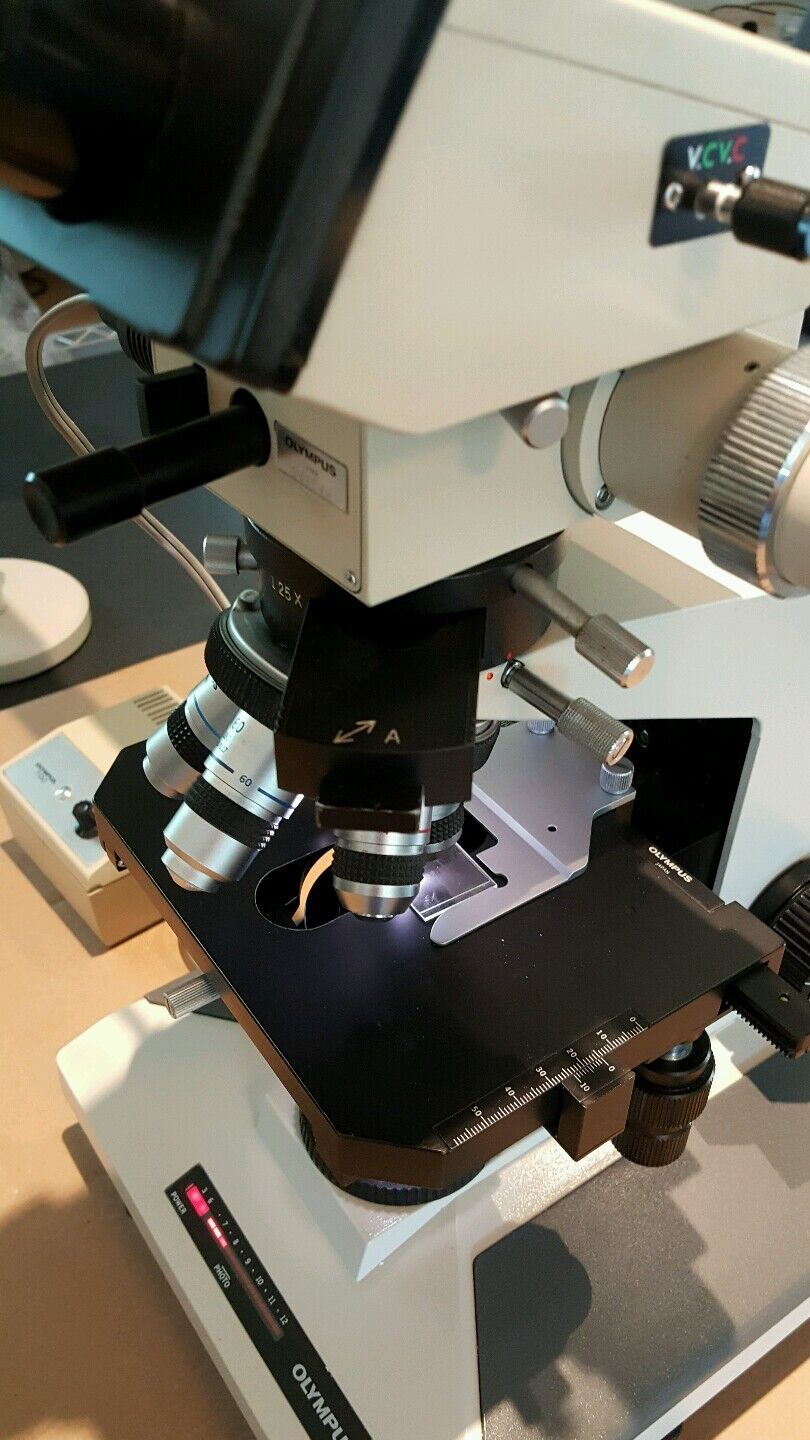 Olympus Microscope BH2 5 Headed Teaching microscope - microscopemarketplace