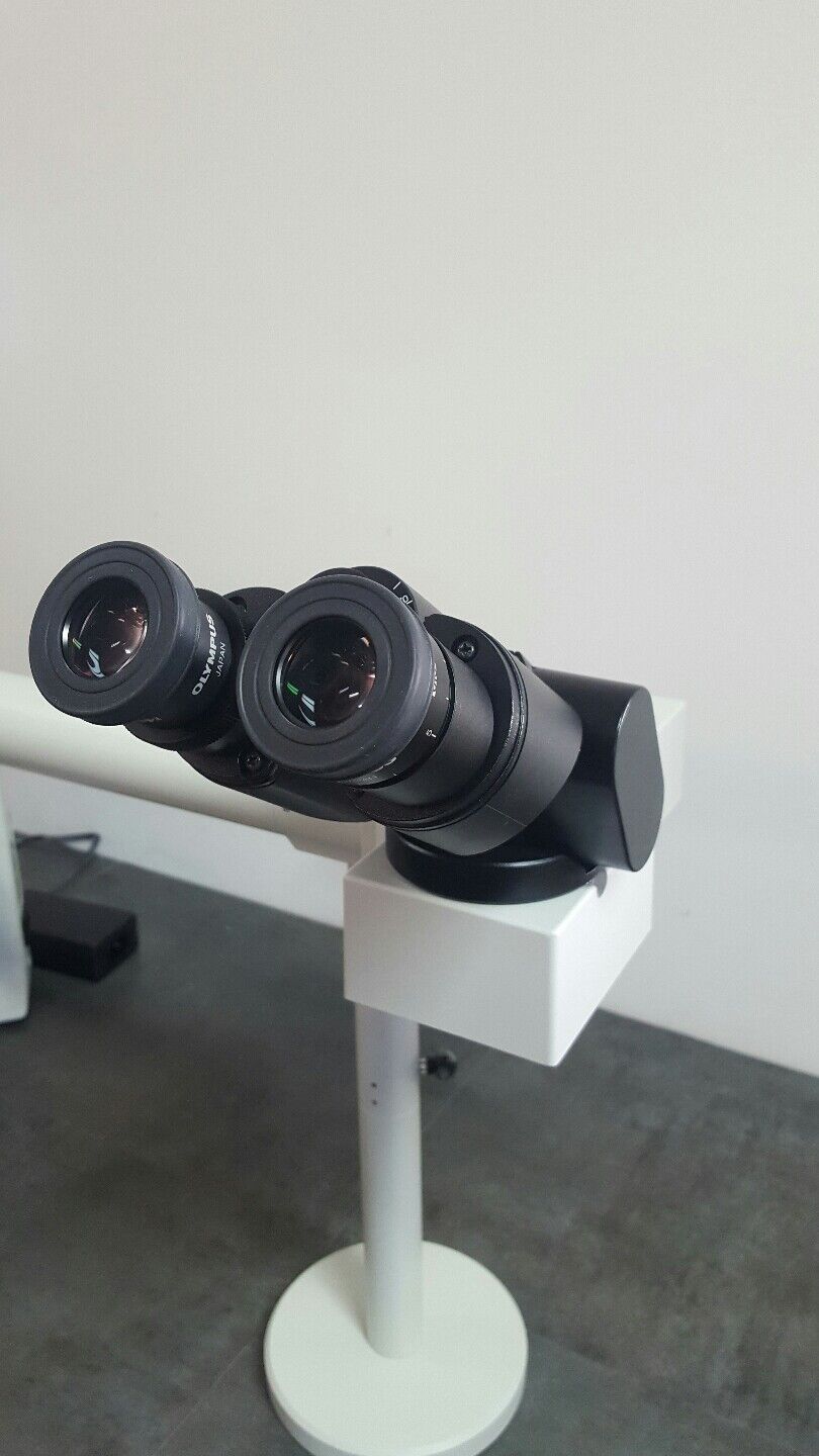 Olympus Microscope BX41 with 2X and Side by Side Bridge - microscopemarketplace