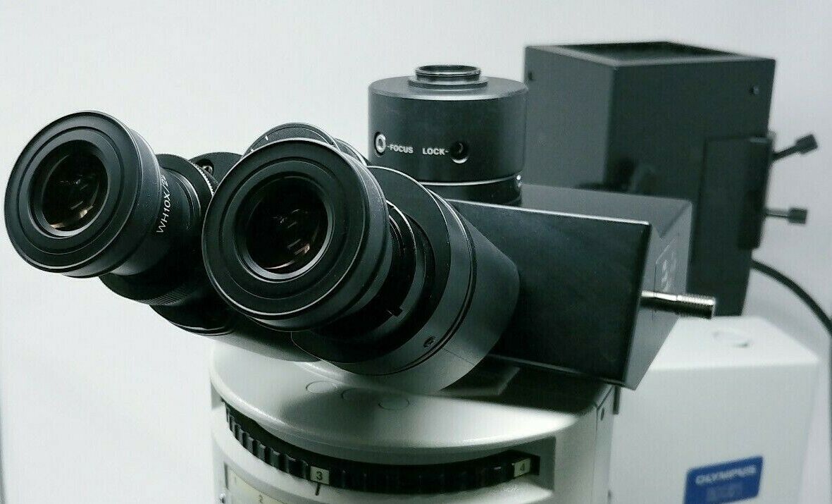Olympus Microscope BX51 with Fluorescence - microscopemarketplace