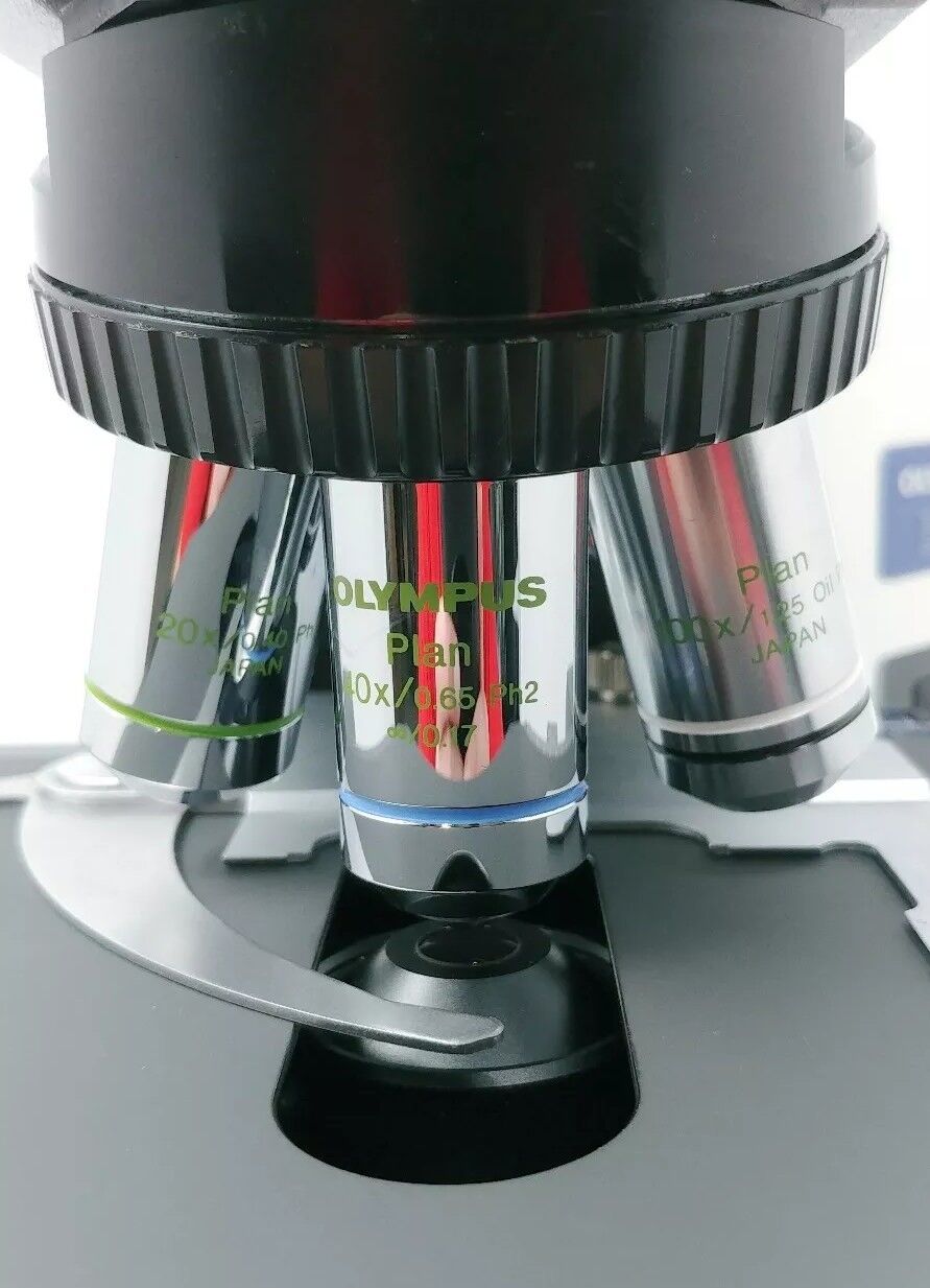 Olympus Microscope BX51 with Phase Contrast and Tilting Binocular Head - microscopemarketplace