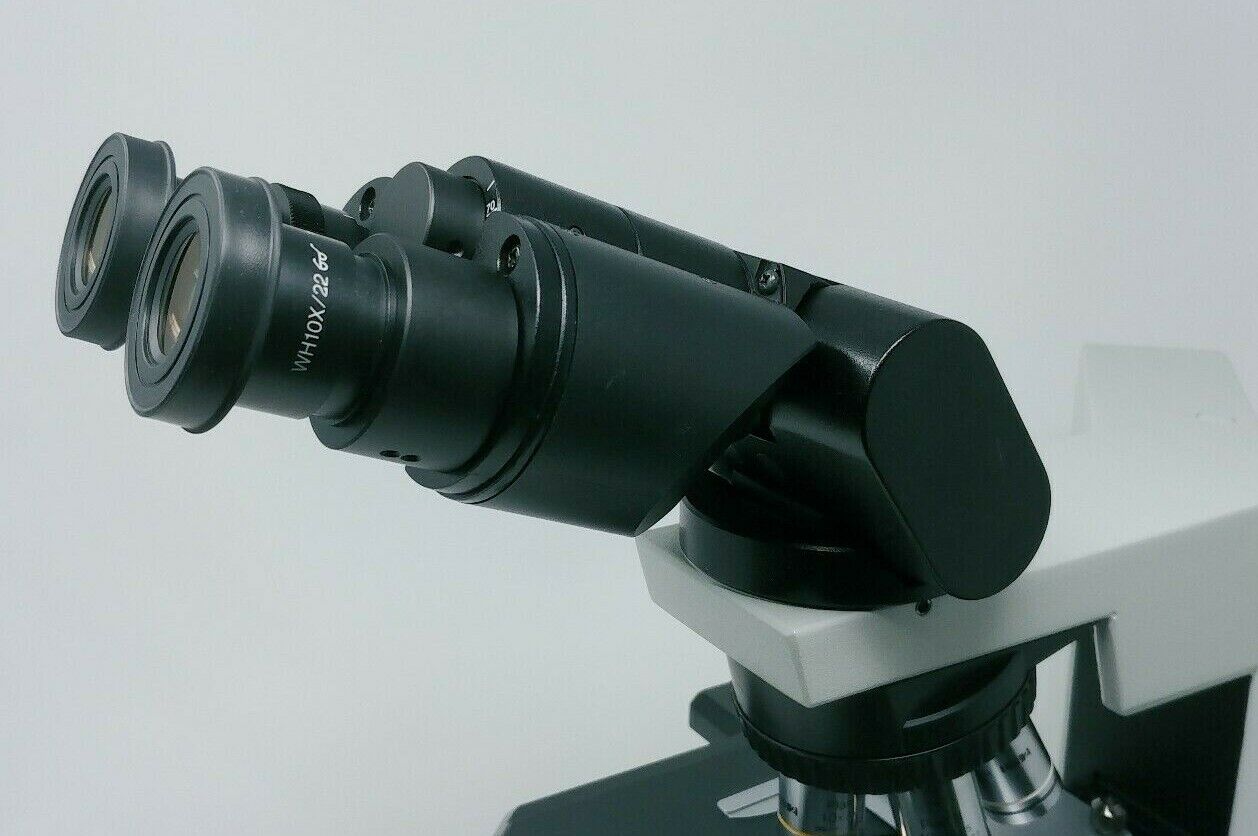 Olympus Microscope BX40 with Tilting Head and 2X Objective - microscopemarketplace