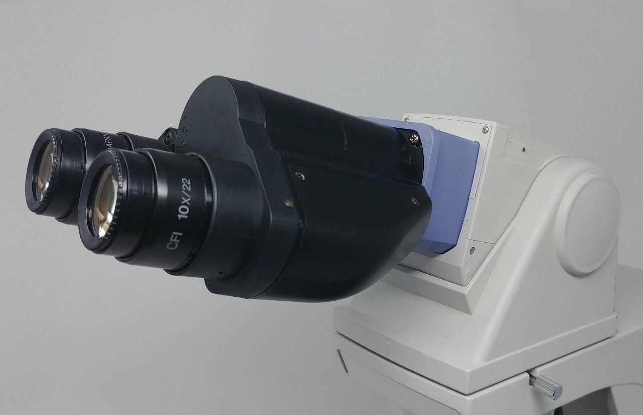 Nikon Microscope Eclipse E400 with Fluorites - microscopemarketplace