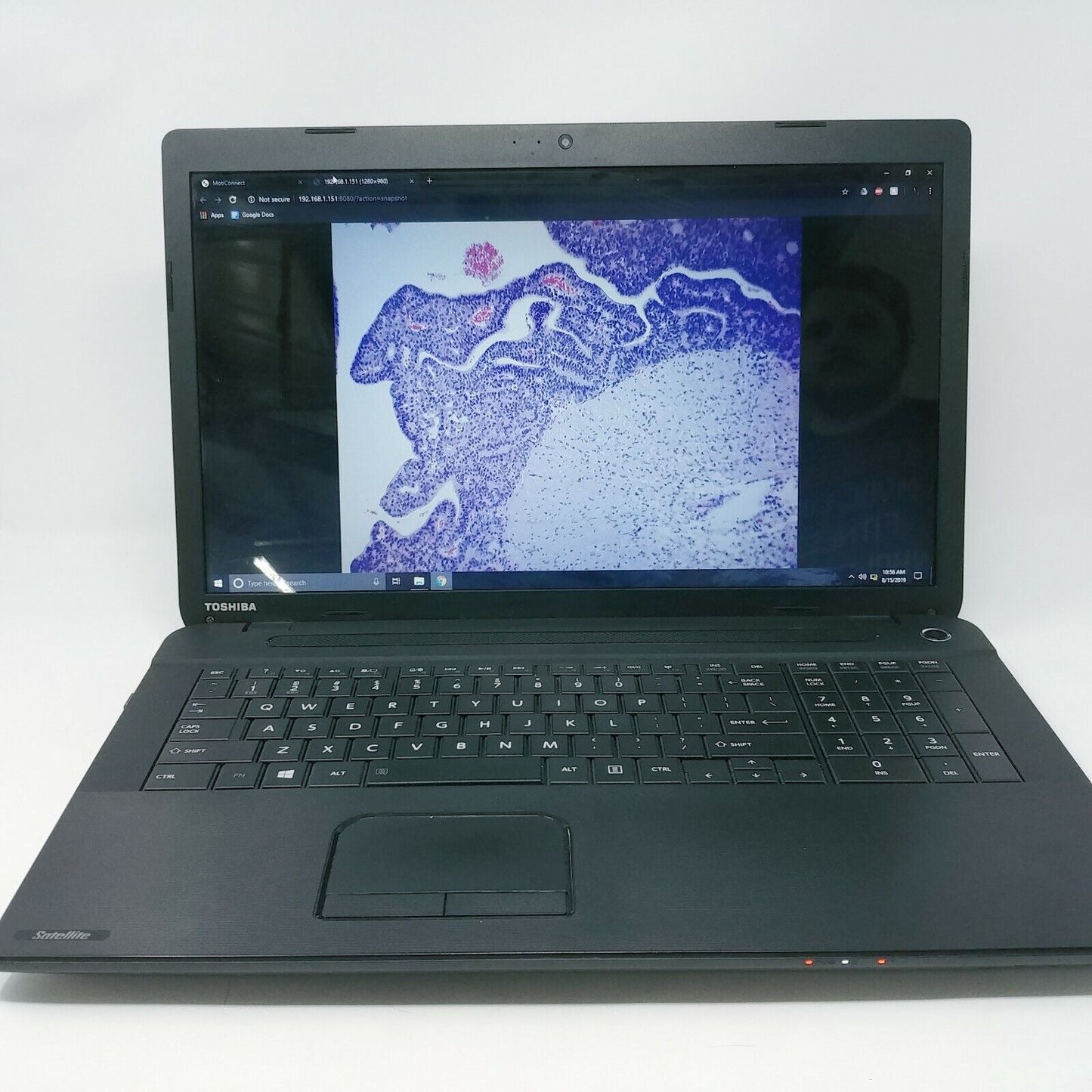 Olympus Microscope BX41 with 2x and Camera - microscopemarketplace