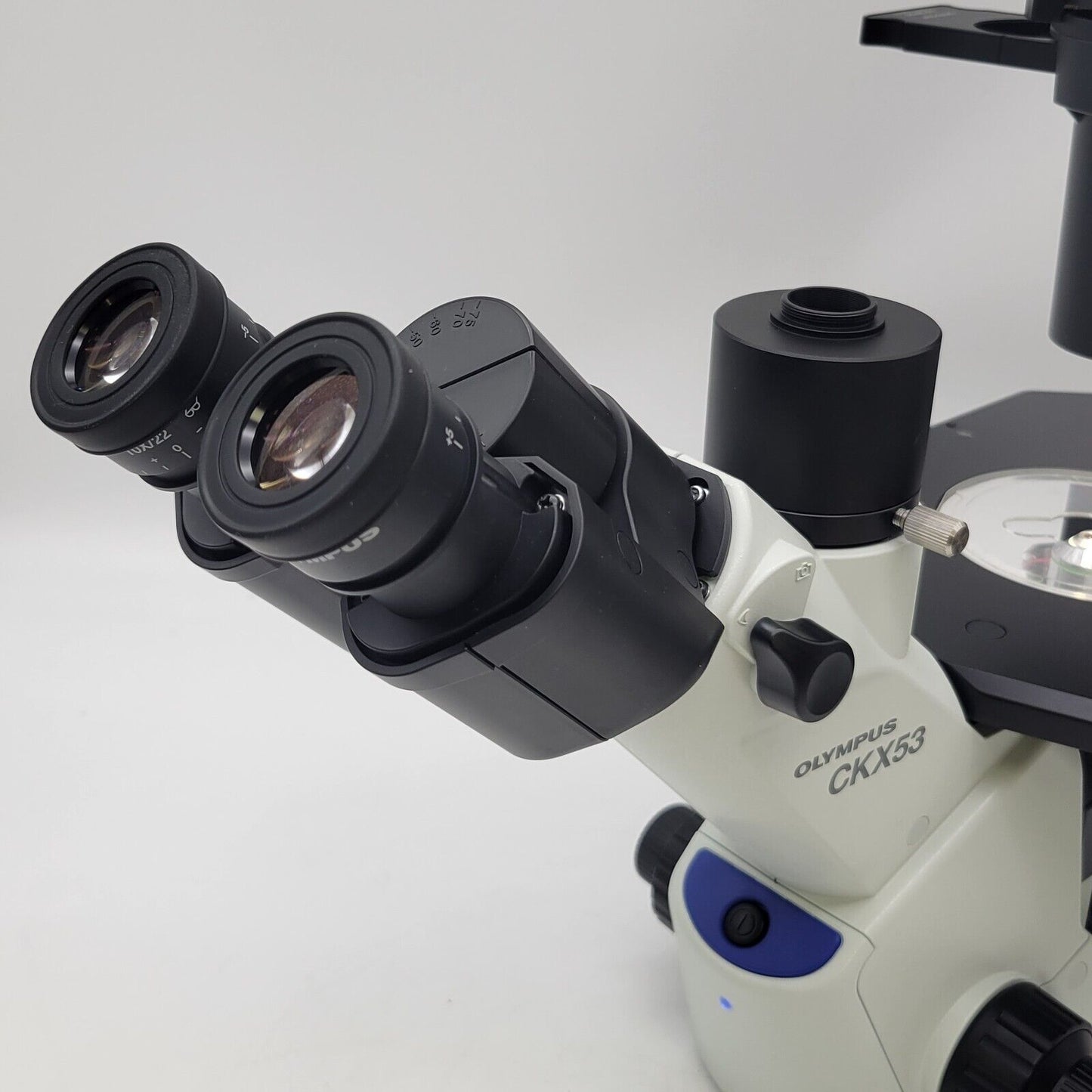 Olympus Microscope CKX53 Inverted with Phase Contrast and IPC Objectives - microscopemarketplace