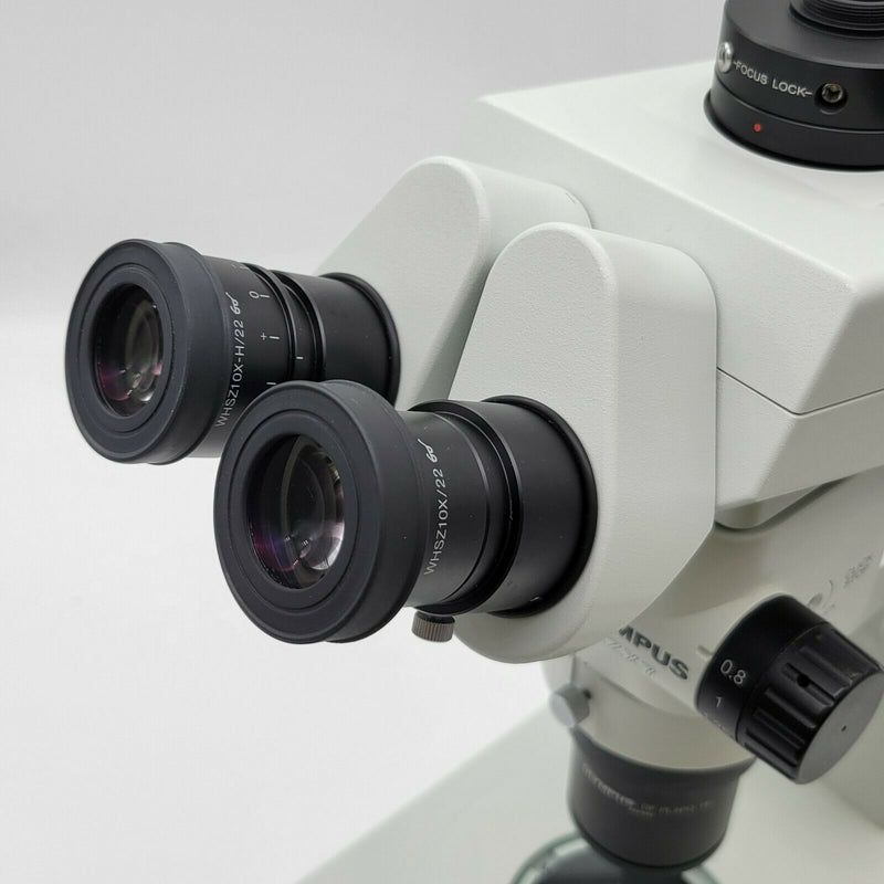 Olympus Stereo Microscope SZX7 with BF/DF Transmitted Light Stand - microscopemarketplace