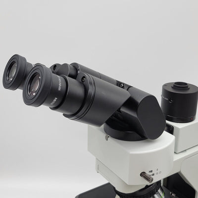 Olympus Microscope BX43 w/ Tilting Head, Phototube & 2x Objective Pathology Mohs - microscopemarketplace