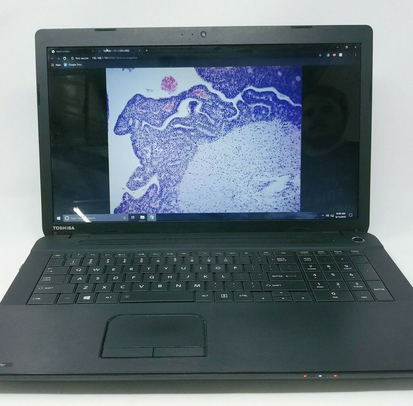 Olympus Microscope BX41 with 2x, 60x, and Camera - microscopemarketplace