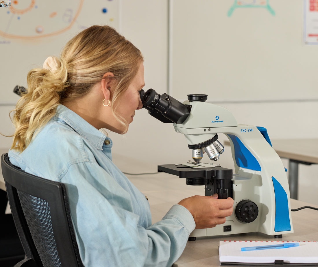I Need a New Microscope for My Veterinary Office: A Budget-Friendly Option to Consider