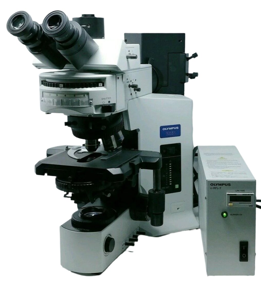 Lighting Up Discovery: Affordable Fluorescence Microscopes at Microscope Marketplace