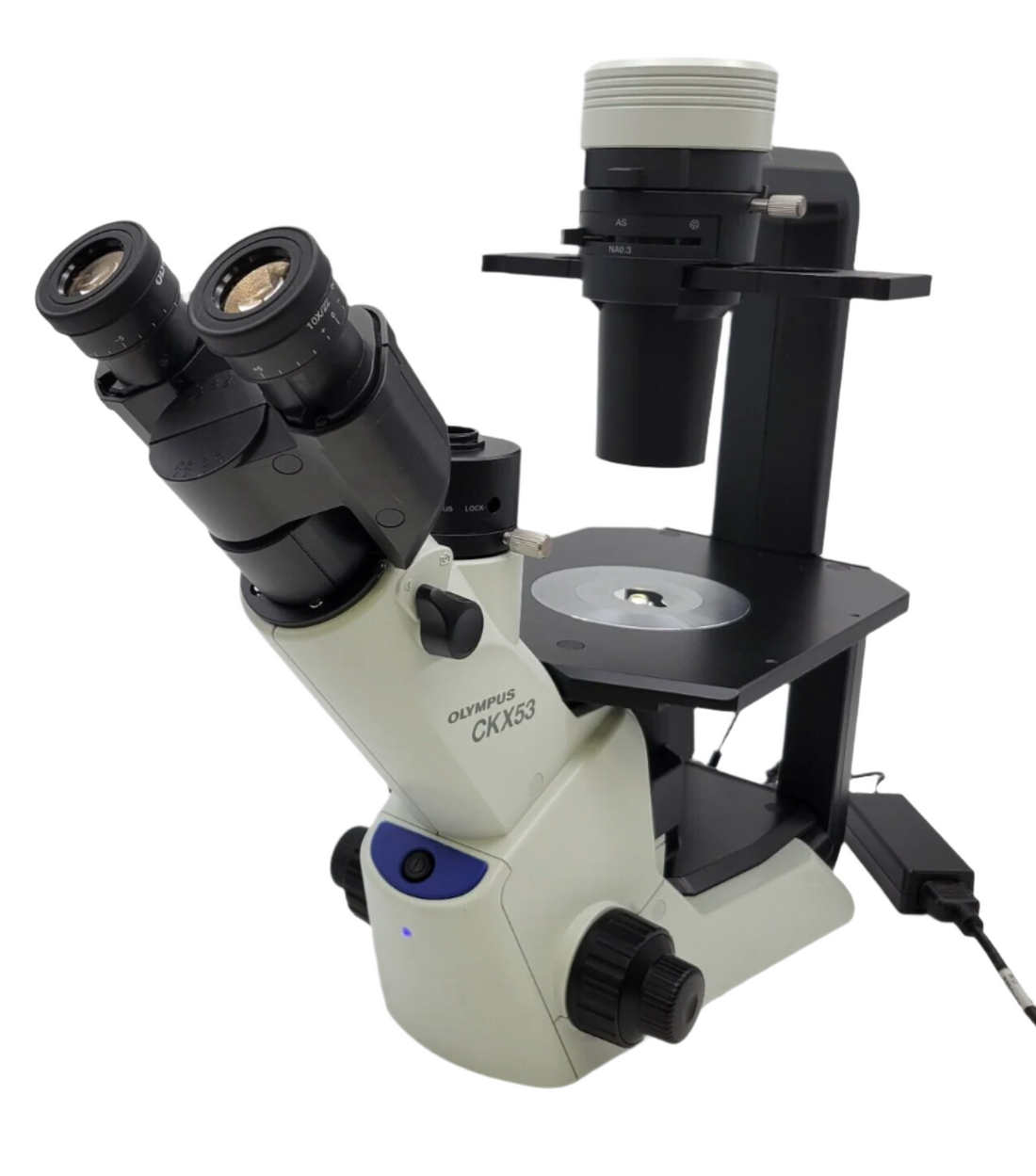 Choosing the Right Tissue Culture Microscope: The Olympus CKX53 Breakdown