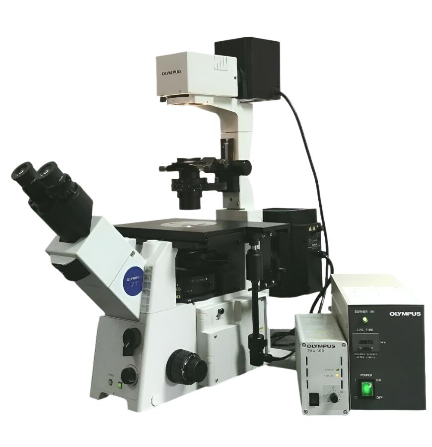 Olympus IX Series Microscopes: Trusted Workhorses for Research, IVF, and Imaging