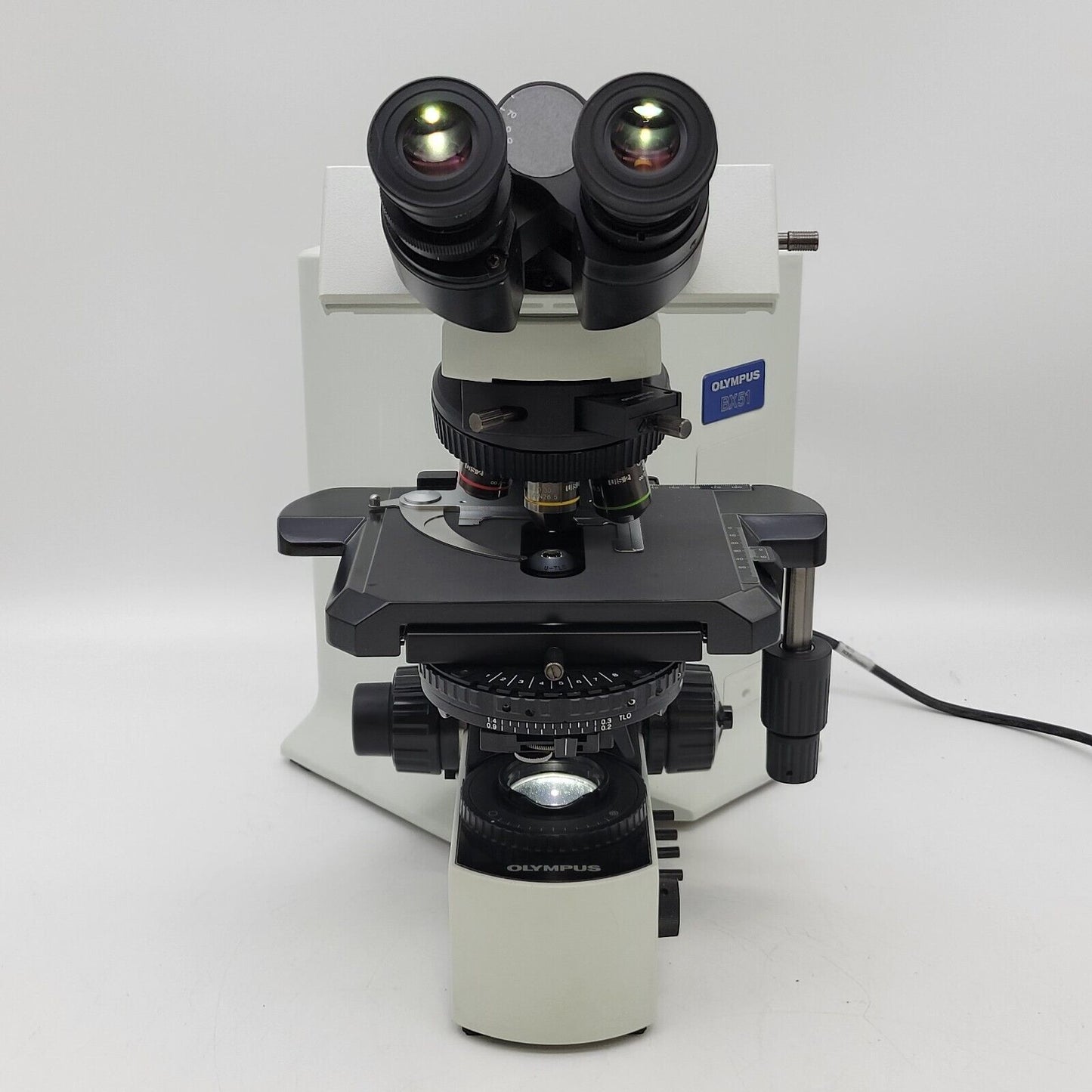 Using a Microscope to hunt Rotifers! | Microscope Marketplace
