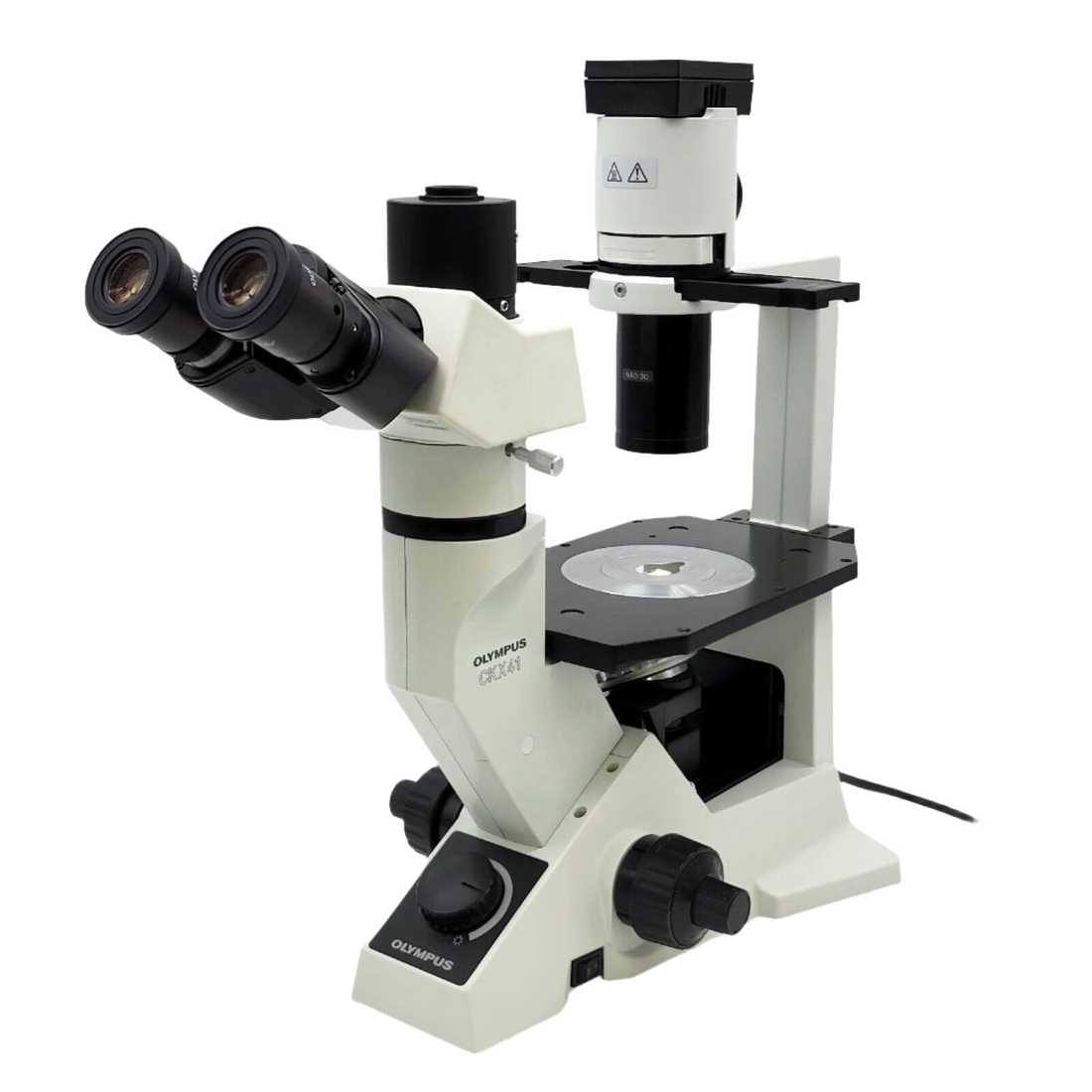 Tissue Culture Microscopes: Why the Olympus CKX Series Is a Lab Favorite