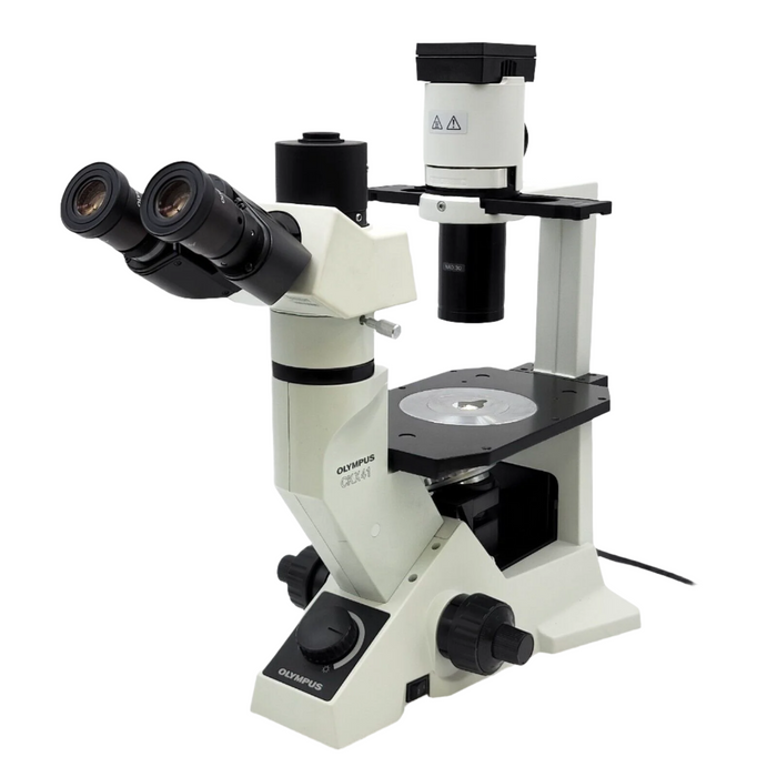 Tissue Culture Microscopes: Why the Olympus CKX Series Is a Lab Favorite