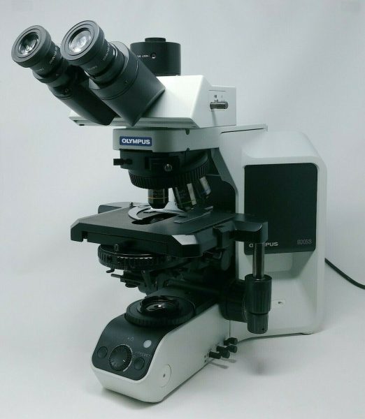 Olympus BX43 Microscope for Pathology