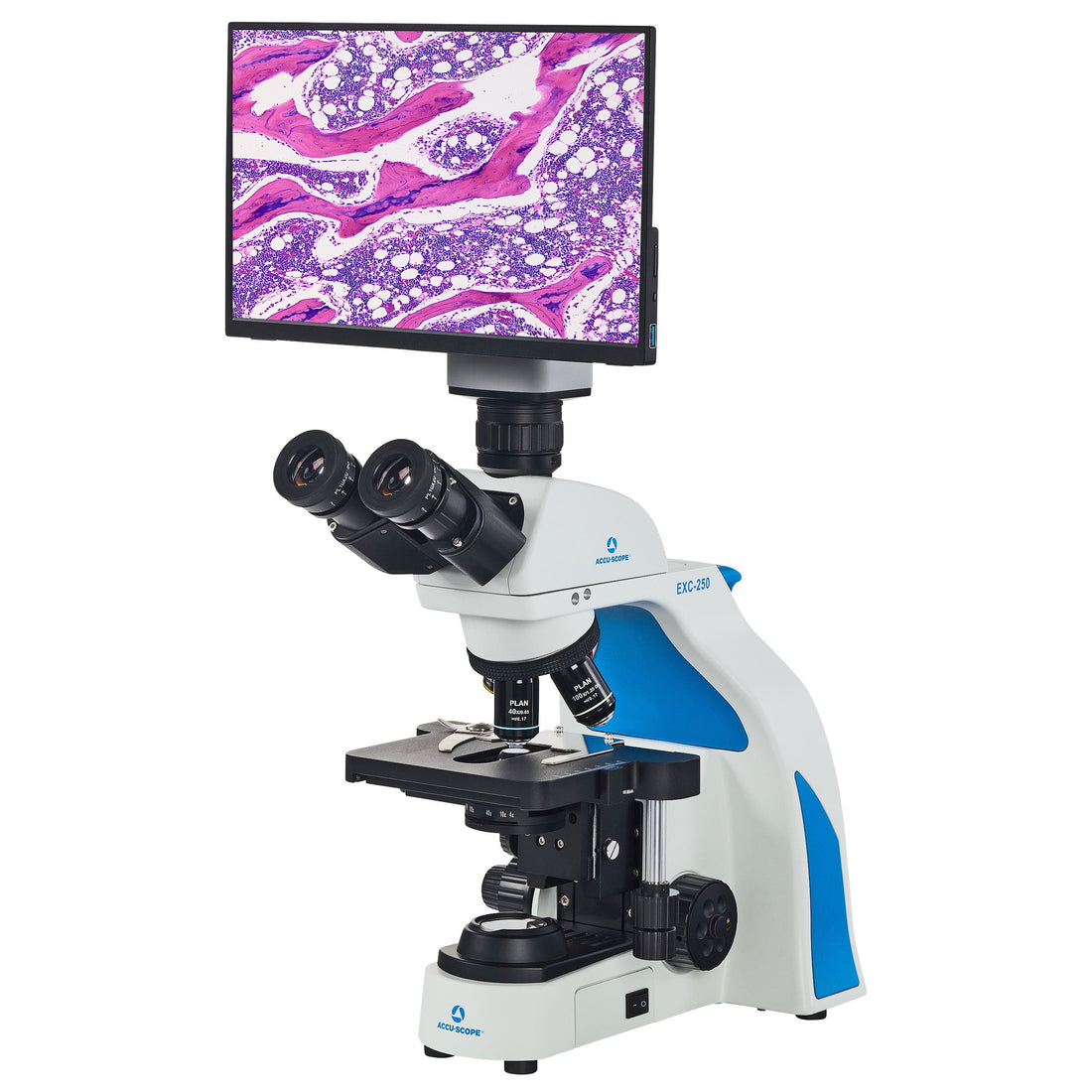 Visual Scope Microscope Accu-Scope EXC-250: The New Flagship Microscope for Veterinary Practic