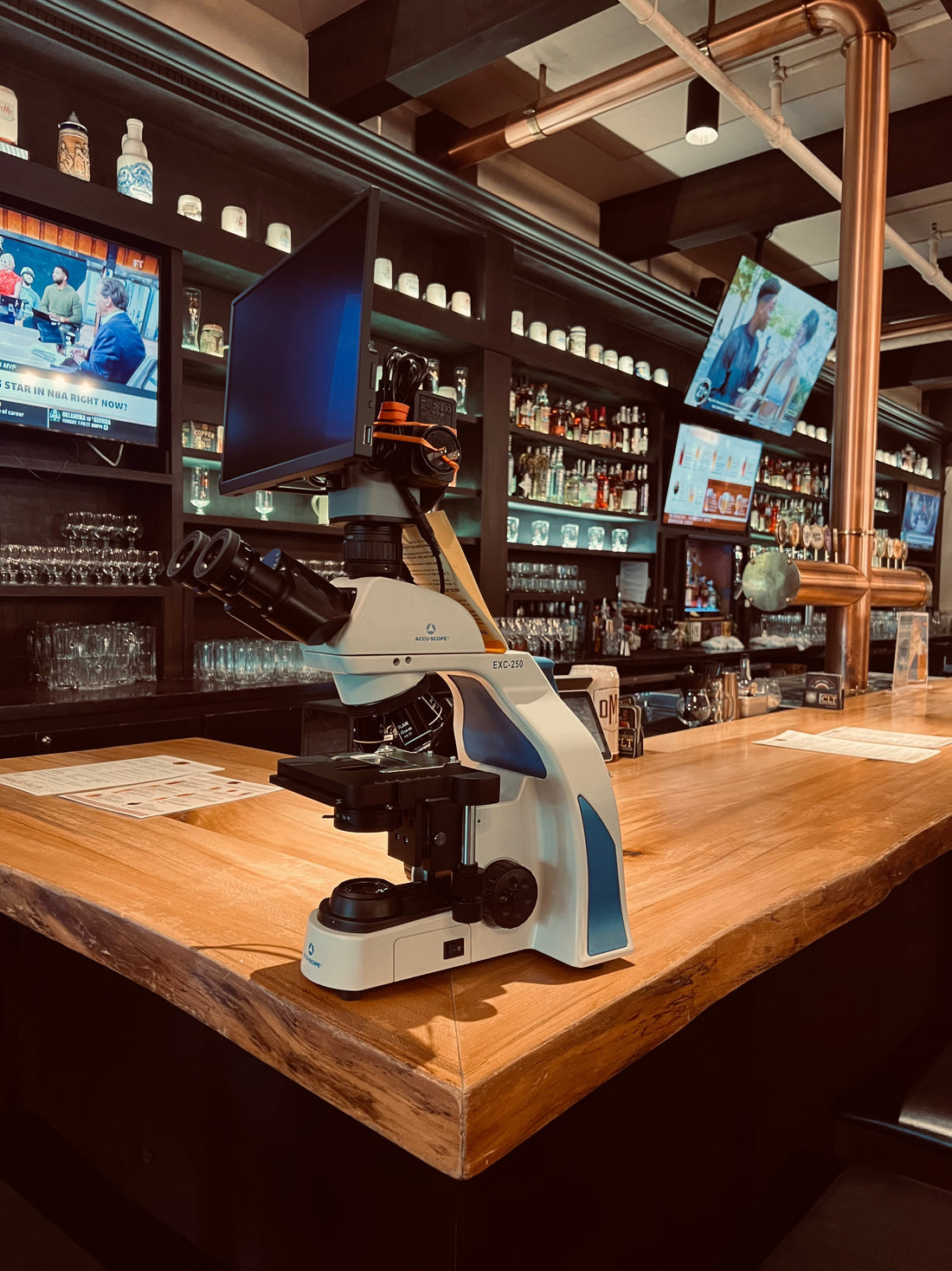 Helping Breweries Brew Better: How Microscopes Support Quality Control at Every Batch
