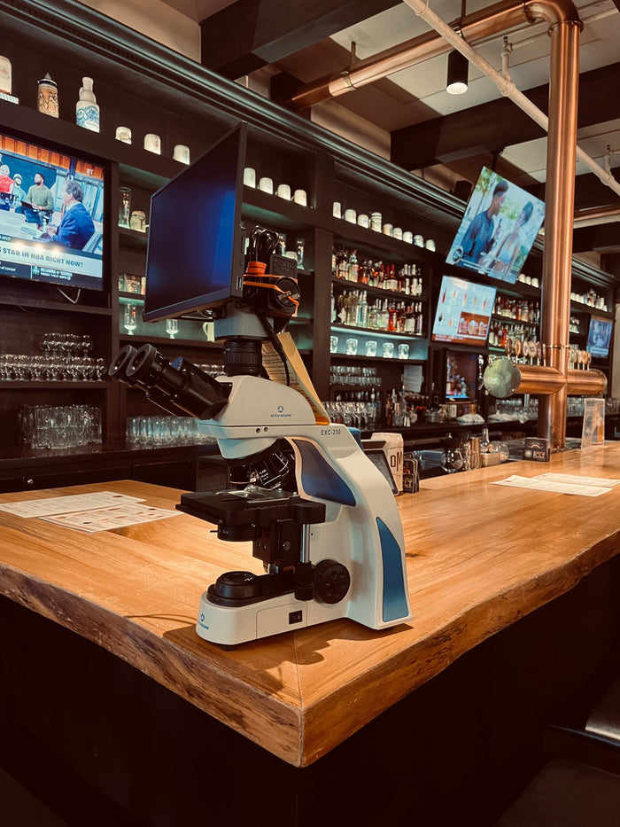 Helping Breweries Brew Better: How Microscopes Support Quality Control at Every Batch