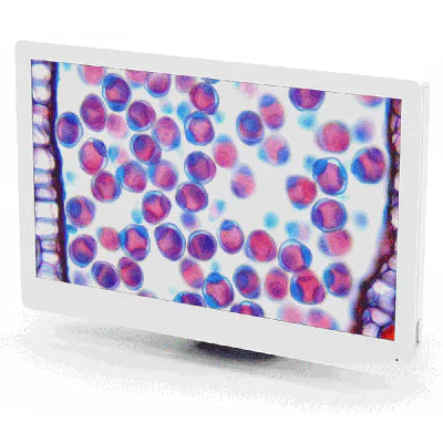Turning Any Microscope into a Teaching Machine | Adding a Microscope Camera
