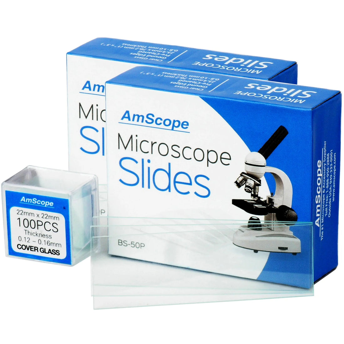 How do you prepare a Microscope Slide