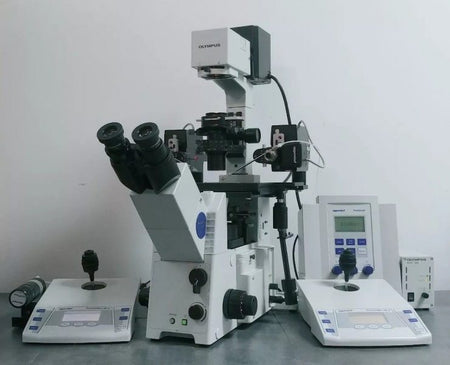 40270wht Microscope What Microscopes are used for IVF (In Vitro Fertilization) | Microscope ...