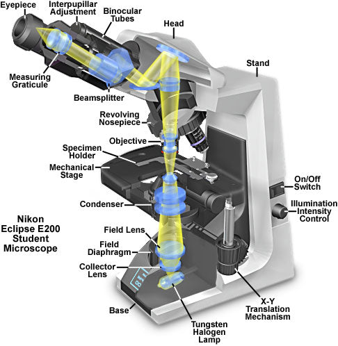 Finding Repair Parts for the Nikon E200: A Practical Guide for Clinics and Labs