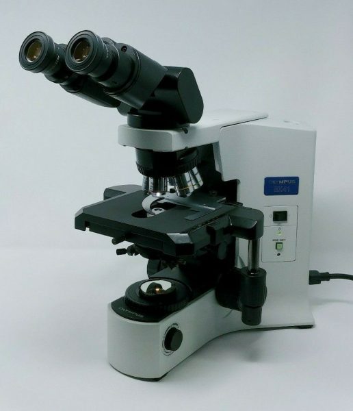 The Olympus BX Microscope is the best Pathologist Microscope and here is why