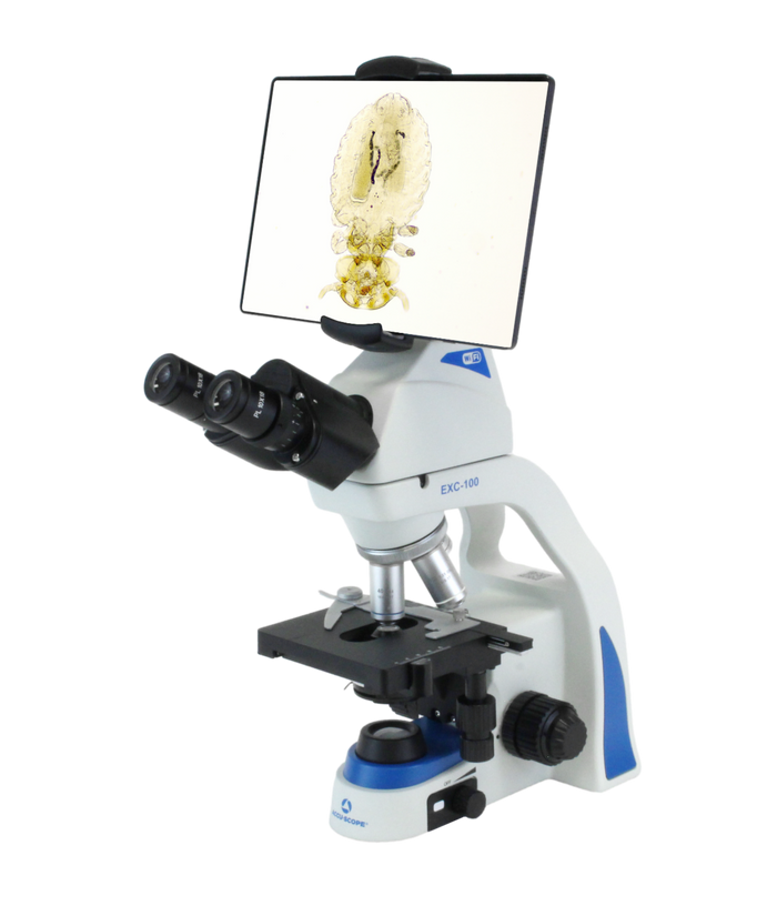 Build a Better Vet Lab: Microscopes, Centrifuges, and More in One Place