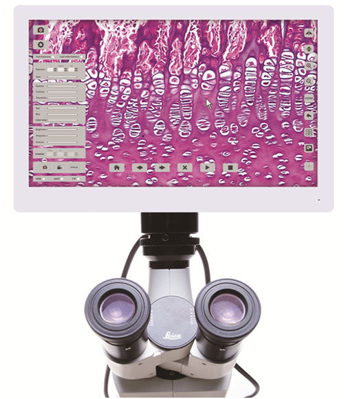 Digital Microscope Solutions | Microscope Cameras | Telepathology