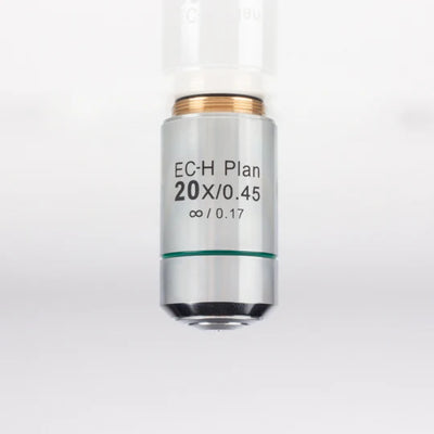 MOTIC Plan Achromatic Objective EC-H PL 20X/0.45 (WD=0.9mm) | (1101001401791) - Microscope Marketplace