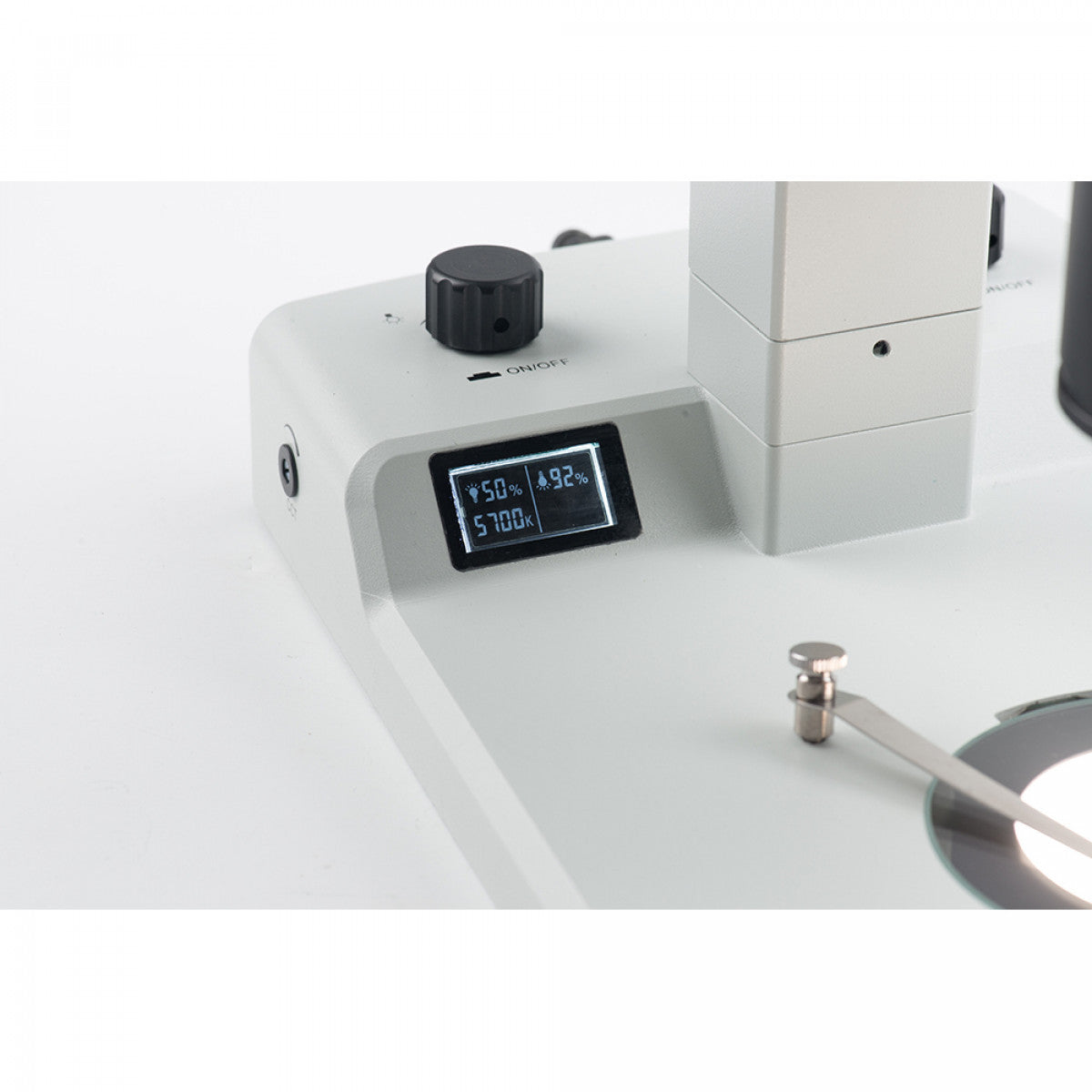 Accu-Scope LED Stereoscope Stand with focus mount - microscopemarketplace
