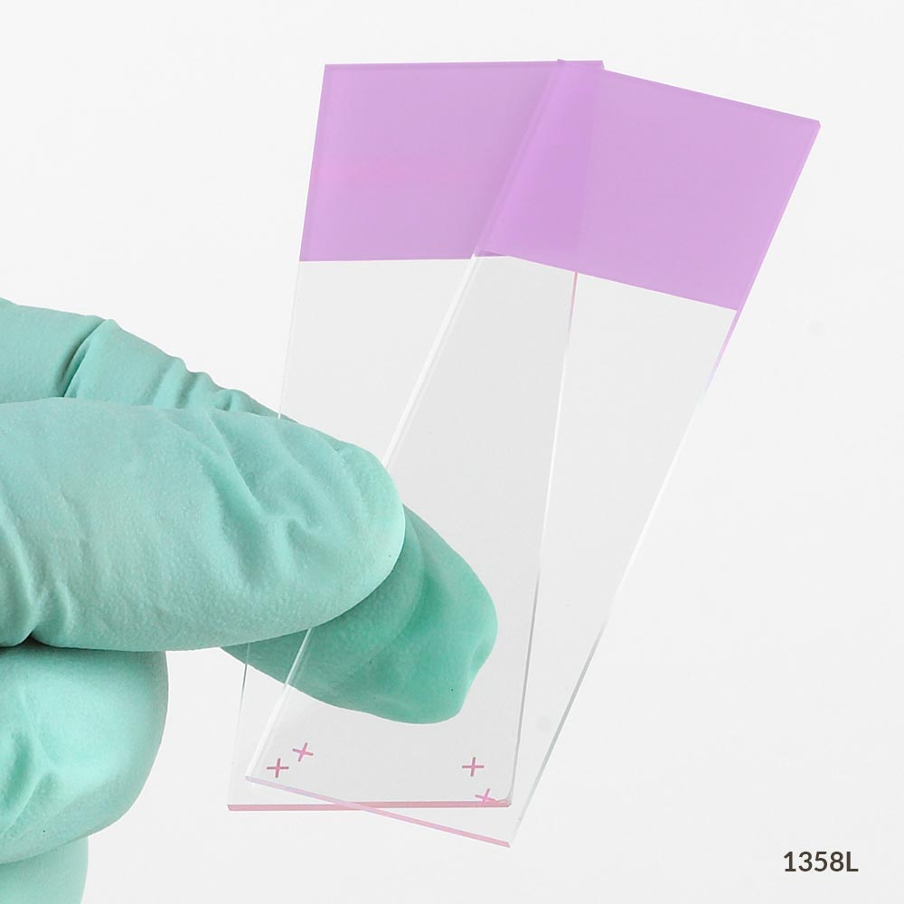 Globe Scientific Diamond® White Glass Charged Slides with 90° Corners | 1358B - Microscope Marketplace