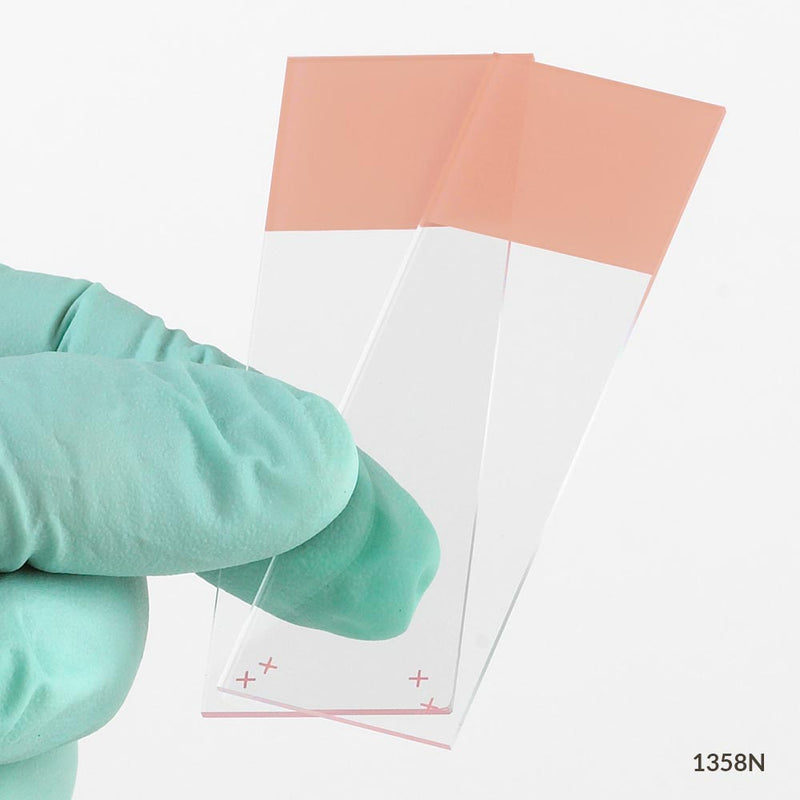 Globe Scientific Diamond® White Glass Charged Slides with 90° Corners | 1358L - Microscope Marketplace