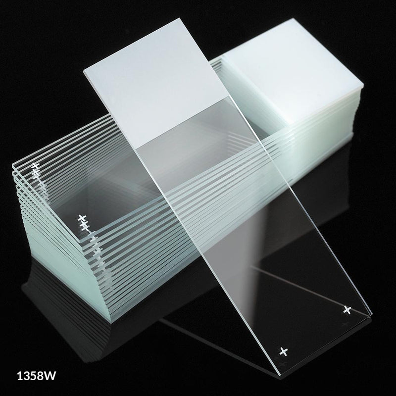 Globe Scientific Diamond® White Glass Charged Slides with 90° Corners | 1358G - Microscope Marketplace