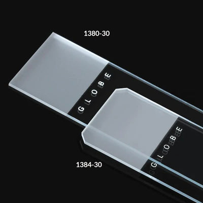 Globe Scientific Frosted Diamond® White Glass Microscope Slides | 1380-30 - Microscope Marketplace